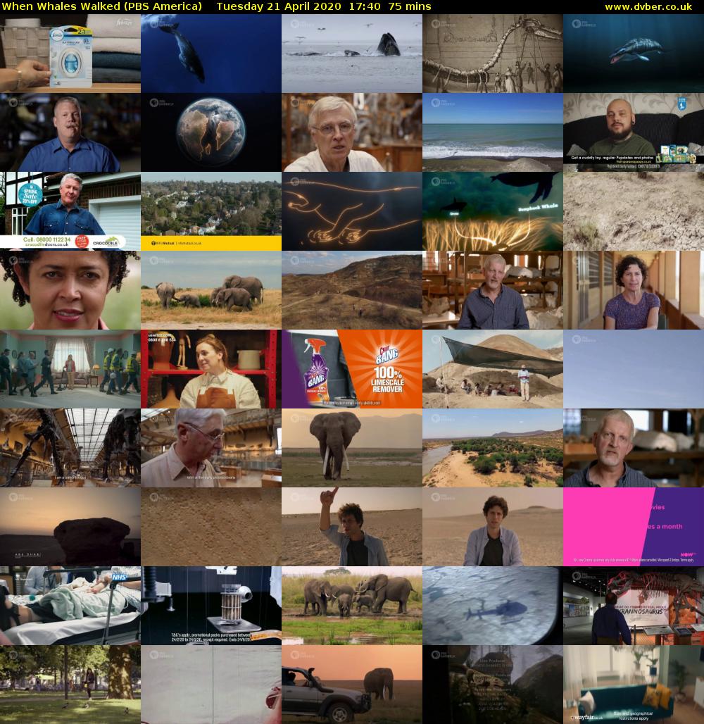 When Whales Walked (PBS America) Tuesday 21 April 2020 17:40 - 18:55