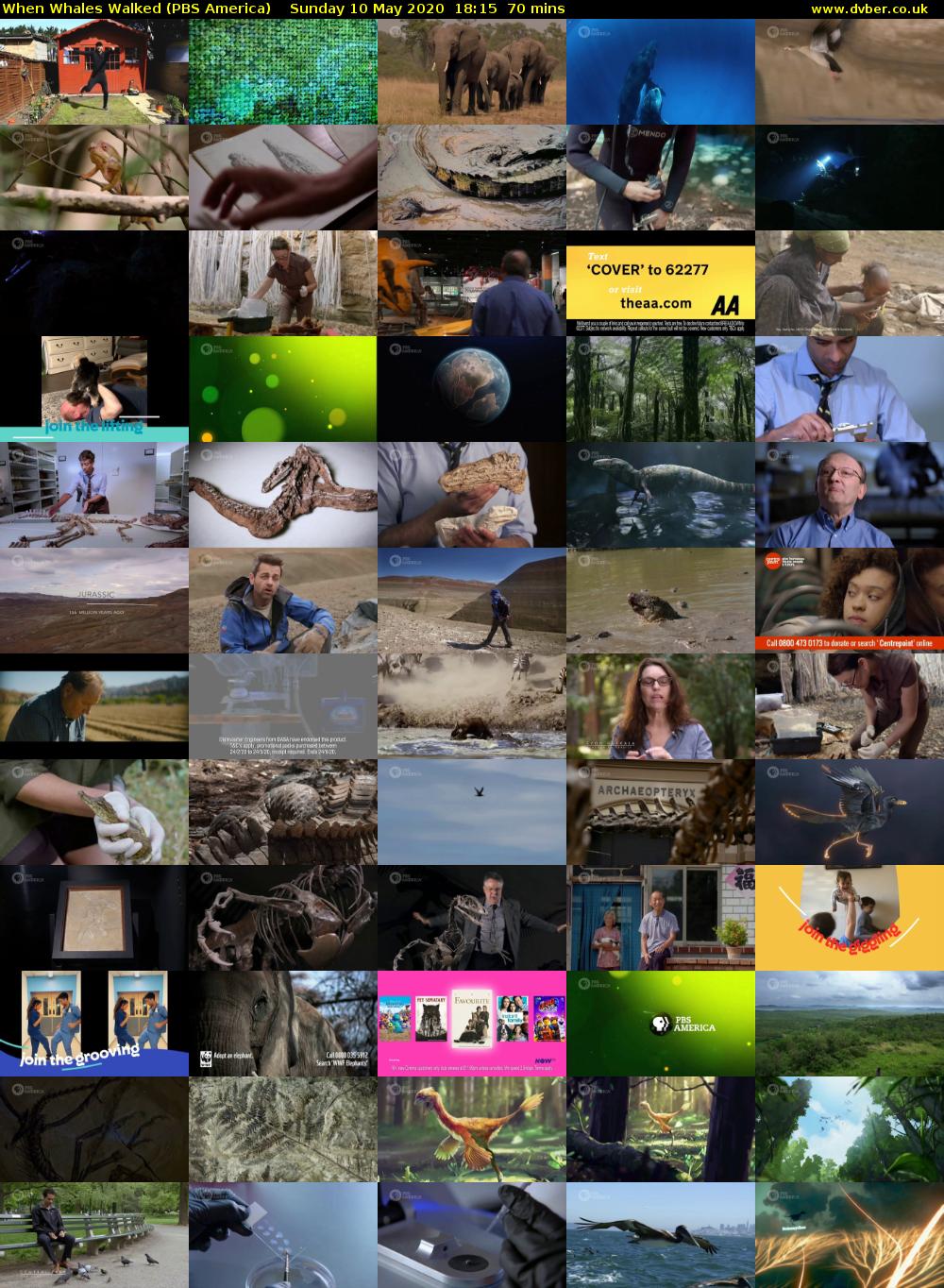 When Whales Walked (PBS America) Sunday 10 May 2020 18:15 - 19:25