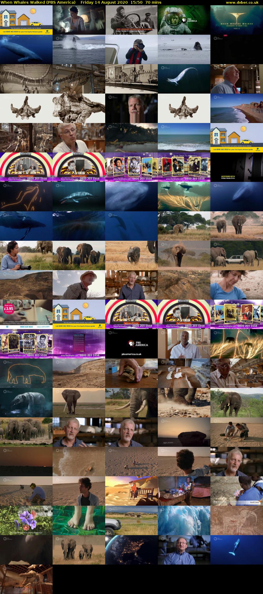 When Whales Walked (PBS America) Friday 14 August 2020 15:50 - 17:00