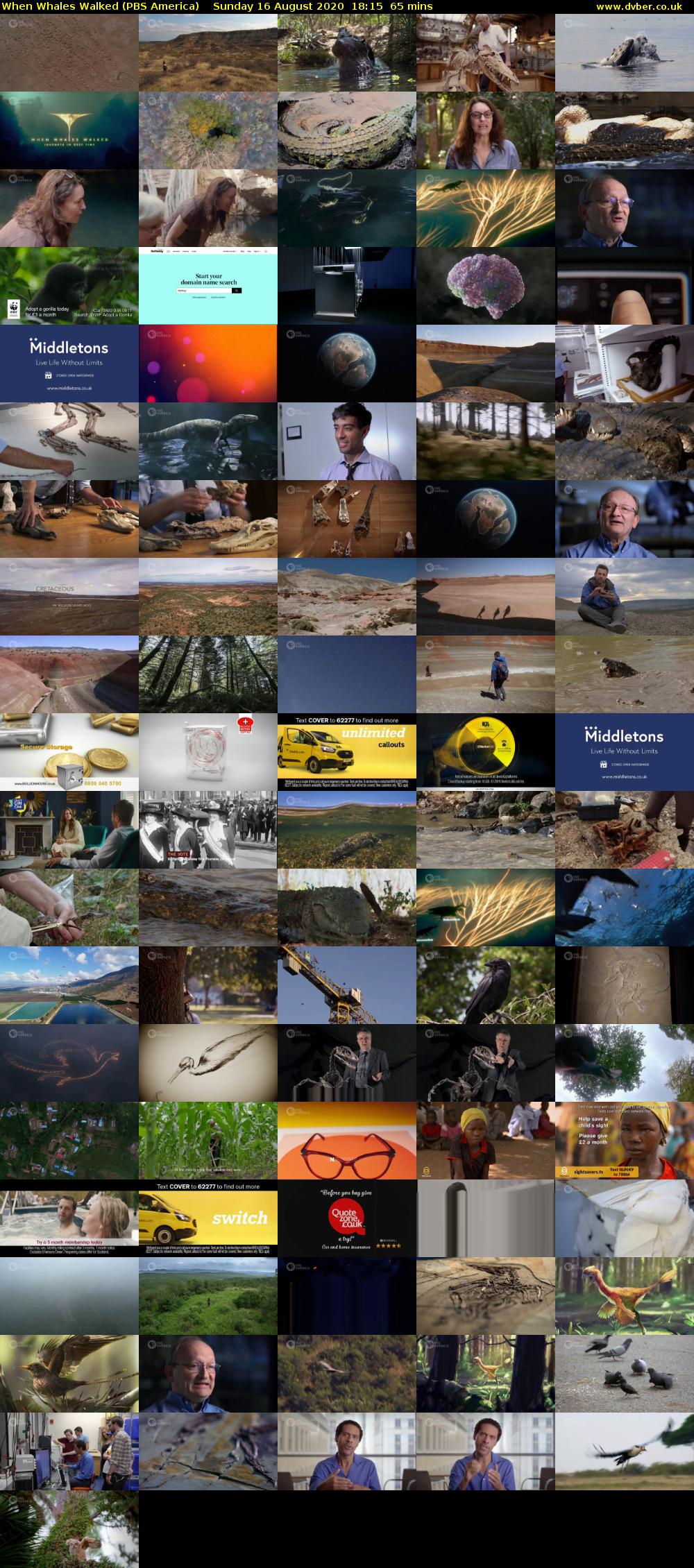 When Whales Walked (PBS America) Sunday 16 August 2020 18:15 - 19:20