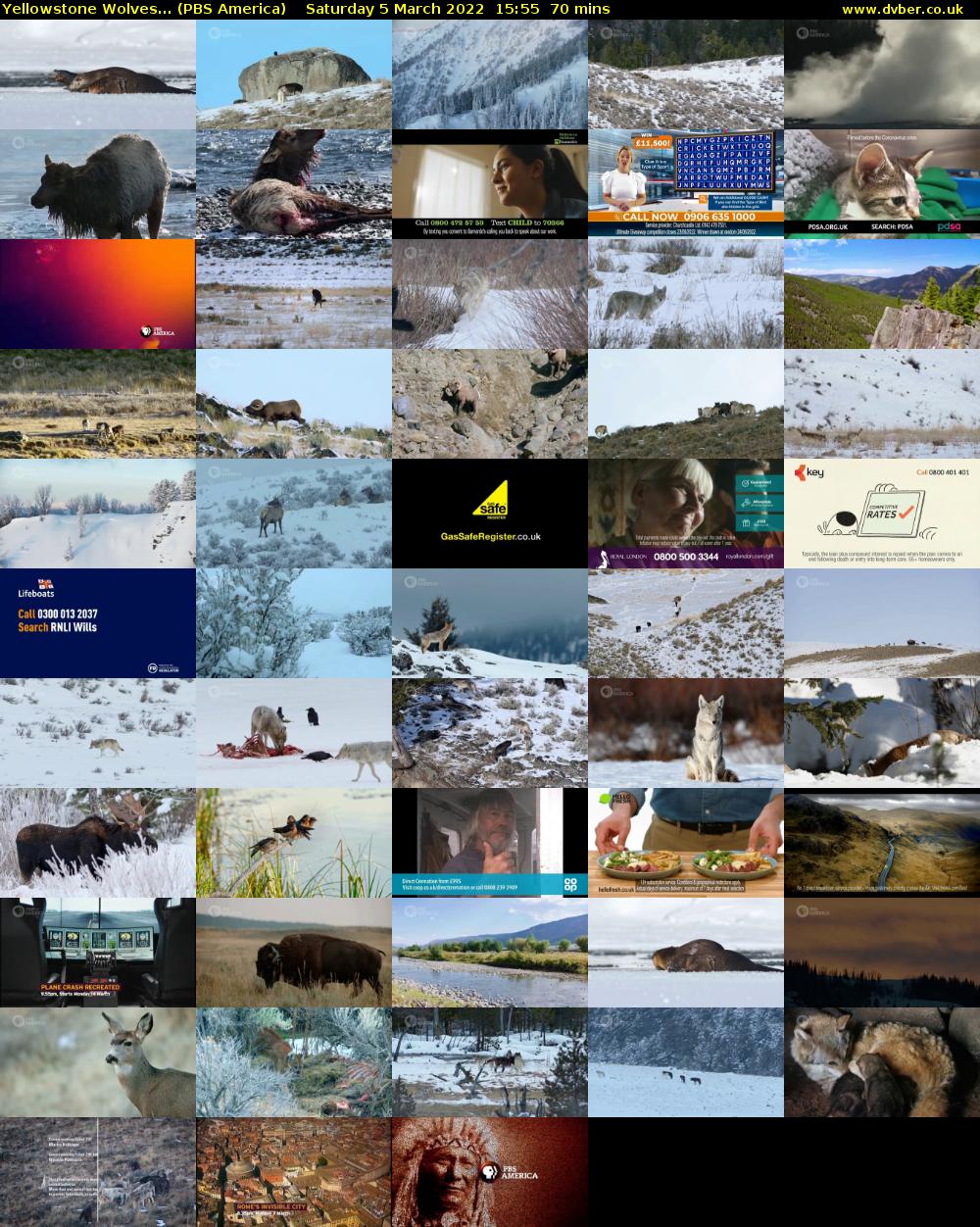 Yellowstone Wolves... (PBS America) Saturday 5 March 2022 15:55 - 17:05