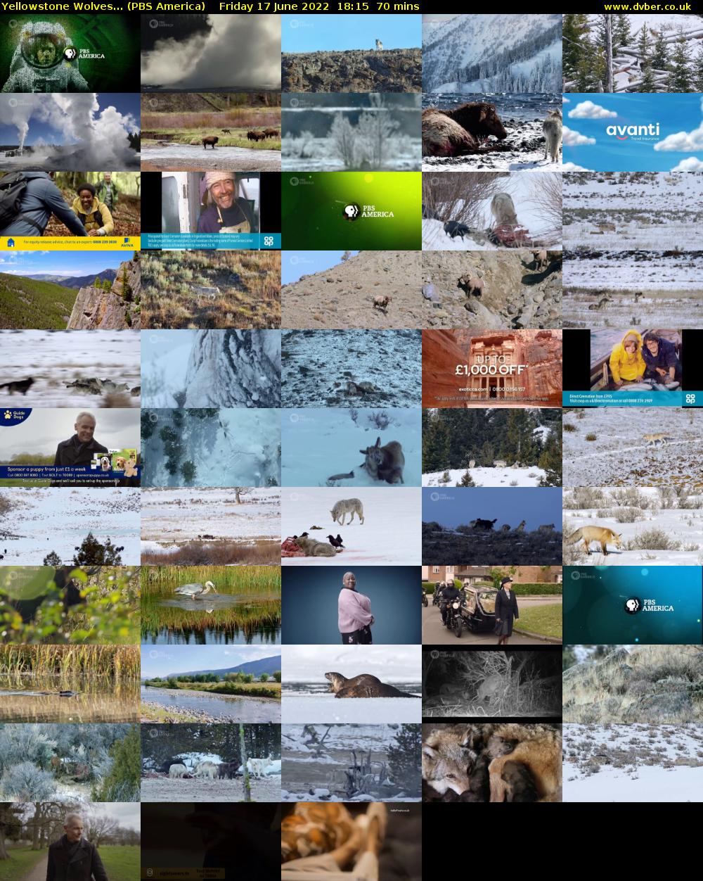 Yellowstone Wolves... (PBS America) Friday 17 June 2022 18:15 - 19:25