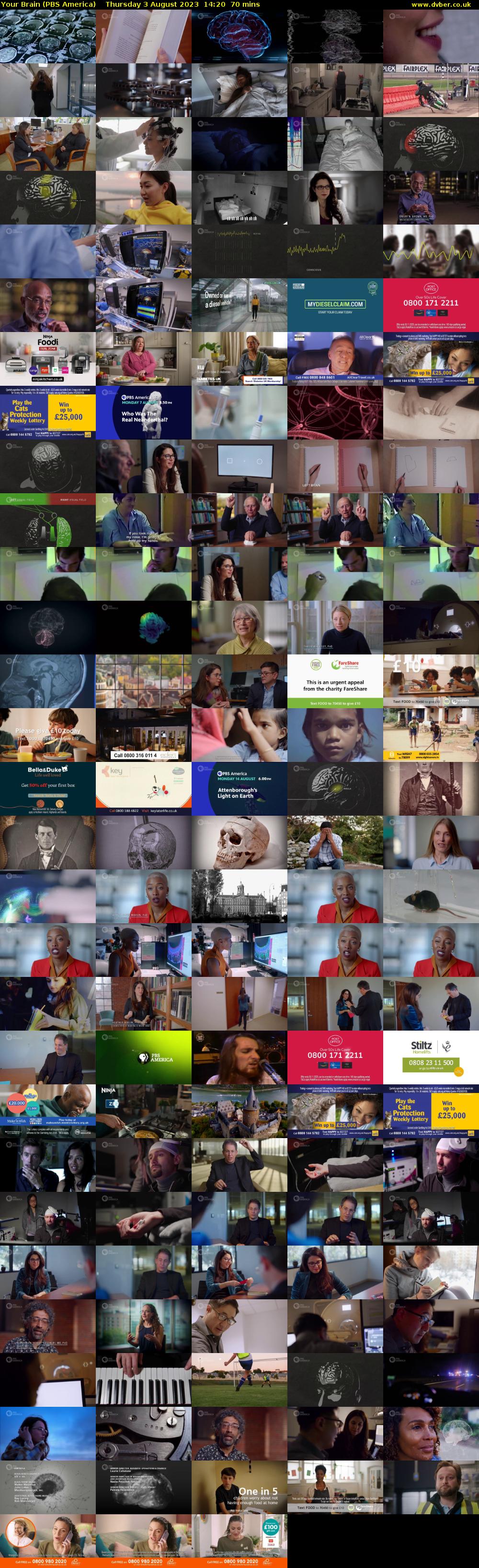 Your Brain (PBS America) Thursday 3 August 2023 14:20 - 15:30
