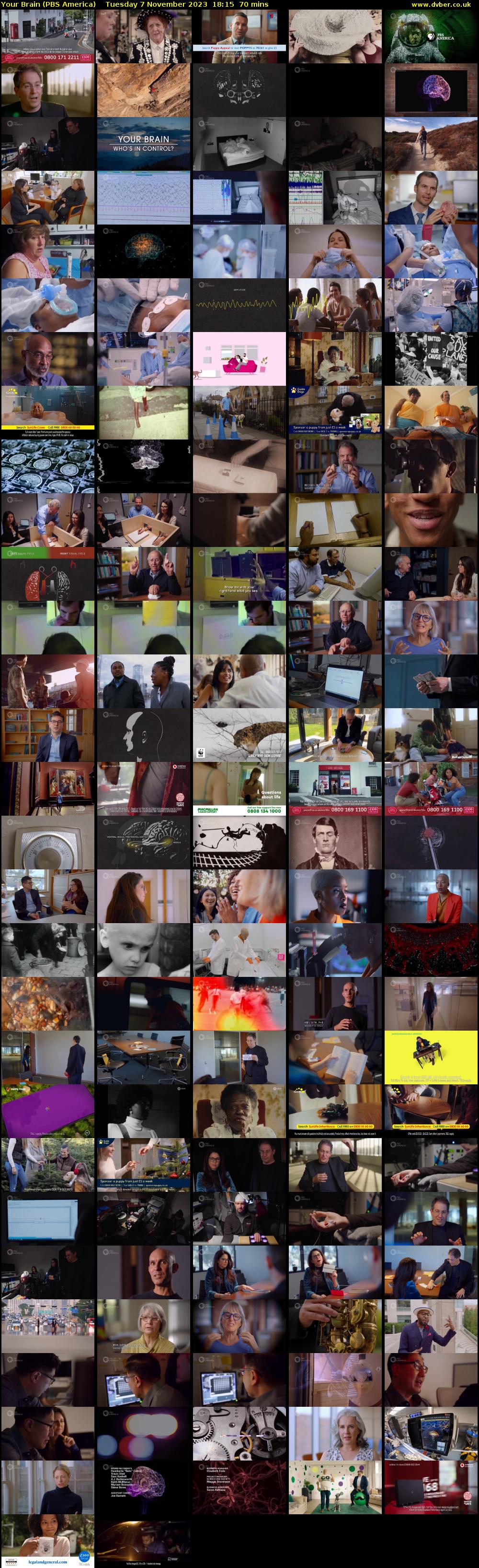Your Brain (PBS America) Tuesday 7 November 2023 18:15 - 19:25