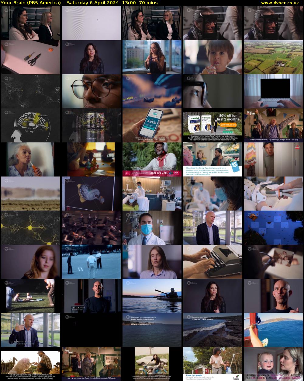 Your Brain (PBS America) Saturday 6 April 2024 13:00 - 14:10