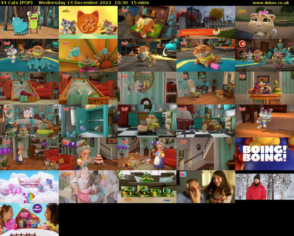 44 Cats (POP) Wednesday 14 December 2022 10:30 - 10:45