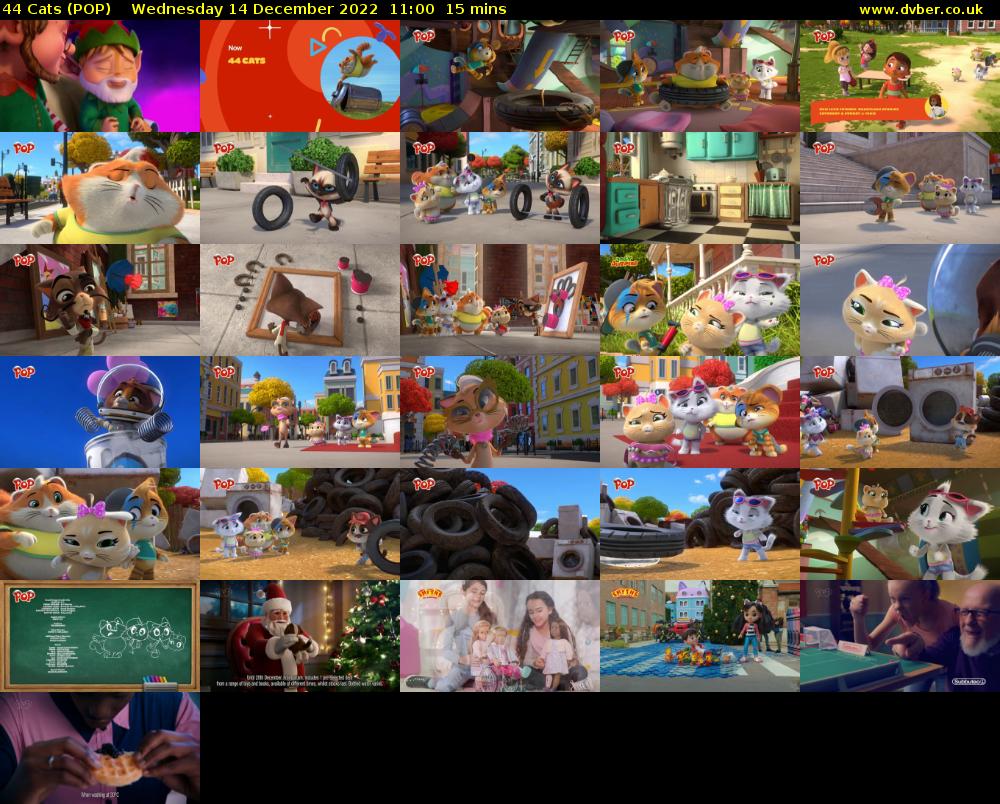 44 Cats (POP) Wednesday 14 December 2022 11:00 - 11:15