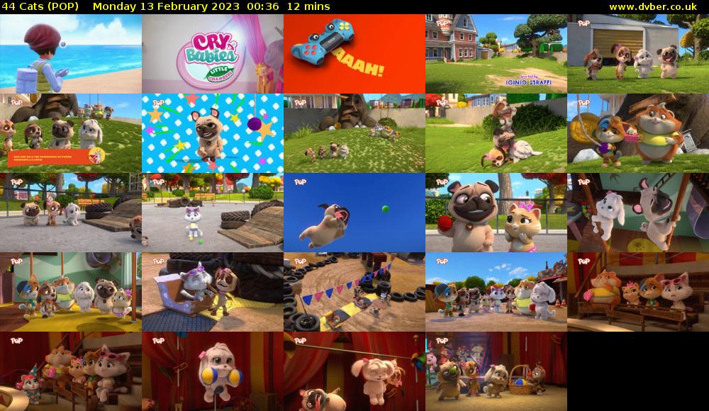 44 Cats (POP) Monday 13 February 2023 00:36 - 00:48