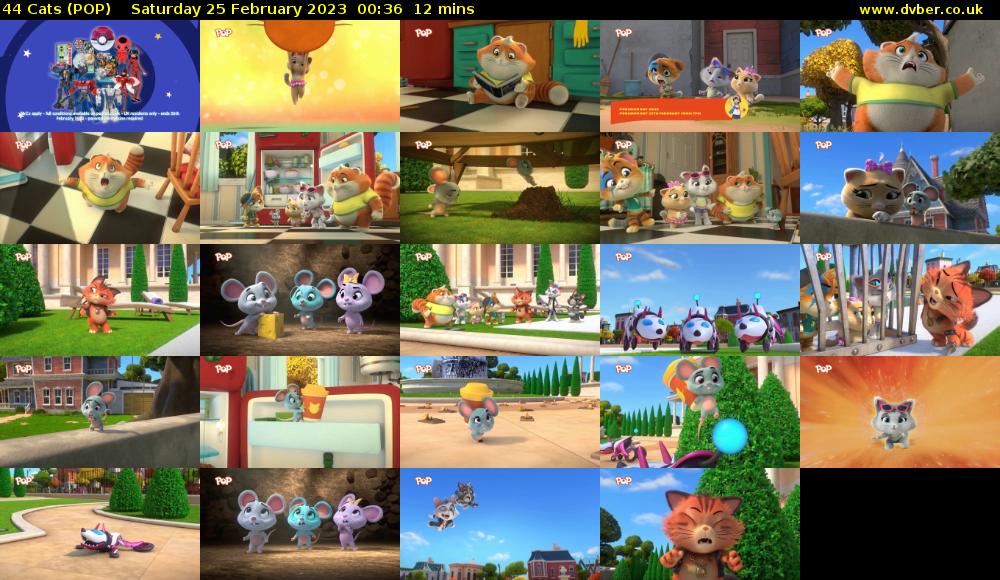 44 Cats (POP) Saturday 25 February 2023 00:36 - 00:48