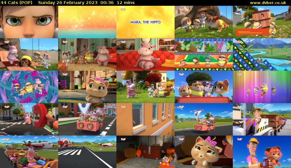 44 Cats (POP) Sunday 26 February 2023 00:36 - 00:48