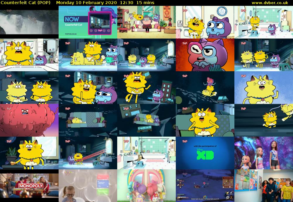 Counterfeit Cat (POP) Monday 10 February 2020 12:30 - 12:45