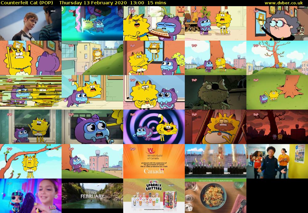 Counterfeit Cat (POP) Thursday 13 February 2020 13:00 - 13:15