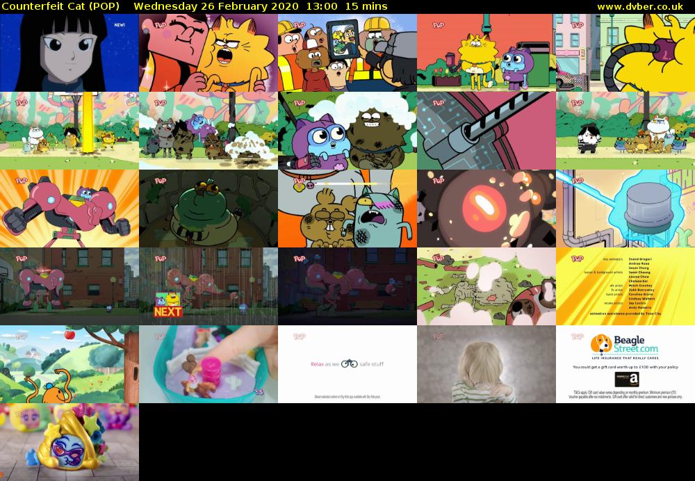 Counterfeit Cat (POP) Wednesday 26 February 2020 13:00 - 13:15