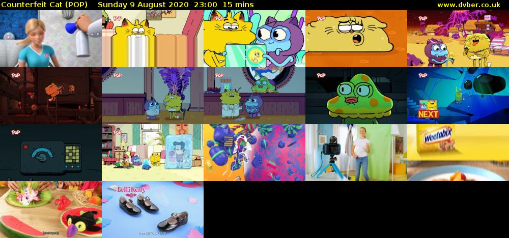 Counterfeit Cat (POP) Sunday 9 August 2020 23:00 - 23:15