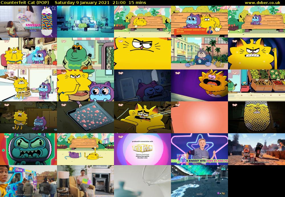 Counterfeit Cat (POP) Saturday 9 January 2021 21:00 - 21:15