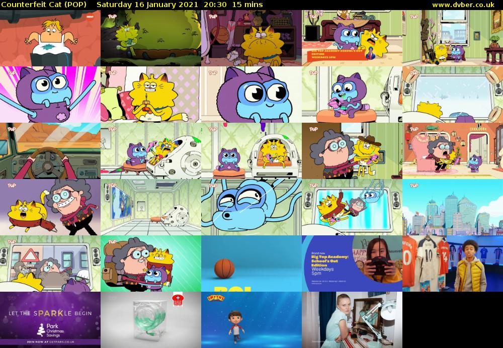 Counterfeit Cat (POP) Saturday 16 January 2021 20:30 - 20:45