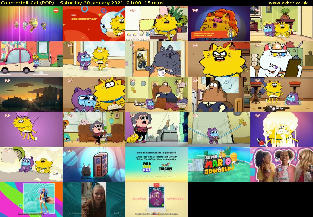 Counterfeit Cat (POP) Saturday 30 January 2021 21:00 - 21:15