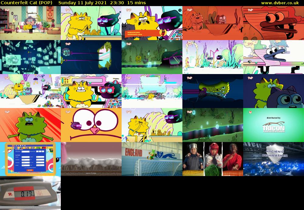 Counterfeit Cat (POP) Sunday 11 July 2021 23:30 - 23:45