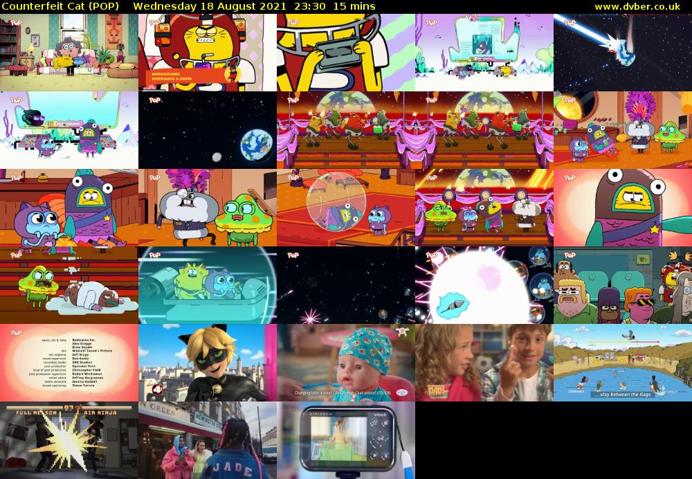 Counterfeit Cat (POP) Wednesday 18 August 2021 23:30 - 23:45