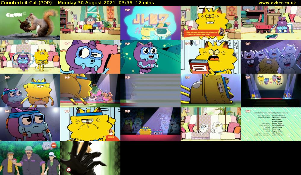 Counterfeit Cat (POP) Monday 30 August 2021 03:56 - 04:08