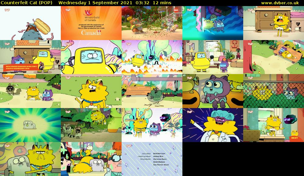 Counterfeit Cat (POP) Wednesday 1 September 2021 03:32 - 03:44