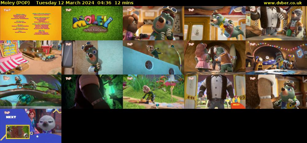 Moley (POP) Tuesday 12 March 2024 04:36 - 04:48