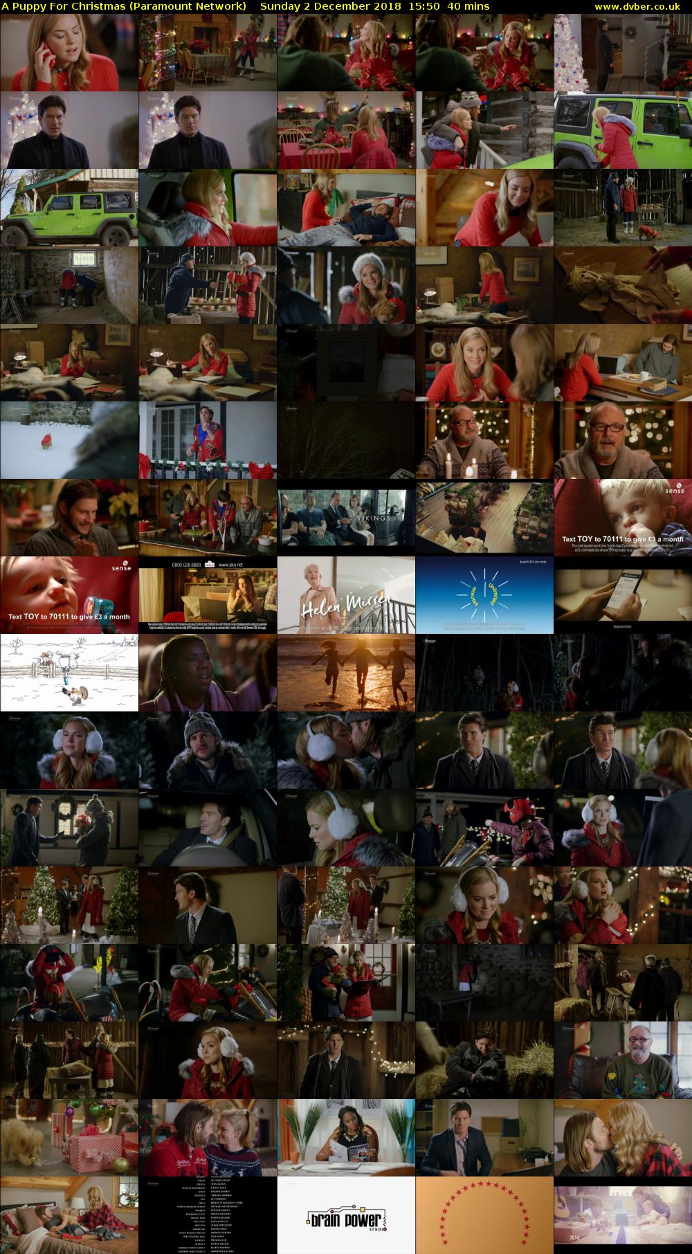 A Puppy For Christmas (Paramount Network) Sunday 2 December 2018 15:50 - 16:30