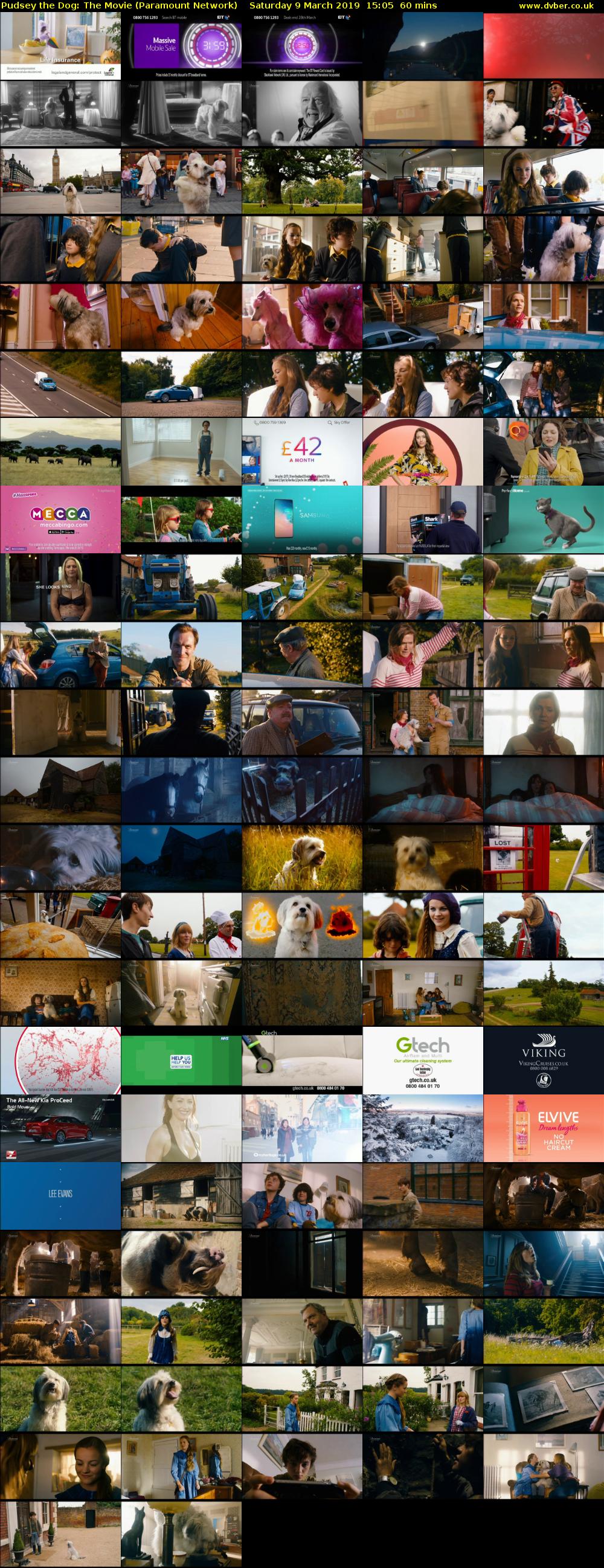 Pudsey the Dog: The Movie (Paramount Network) Saturday 9 March 2019 15:05 - 16:05
