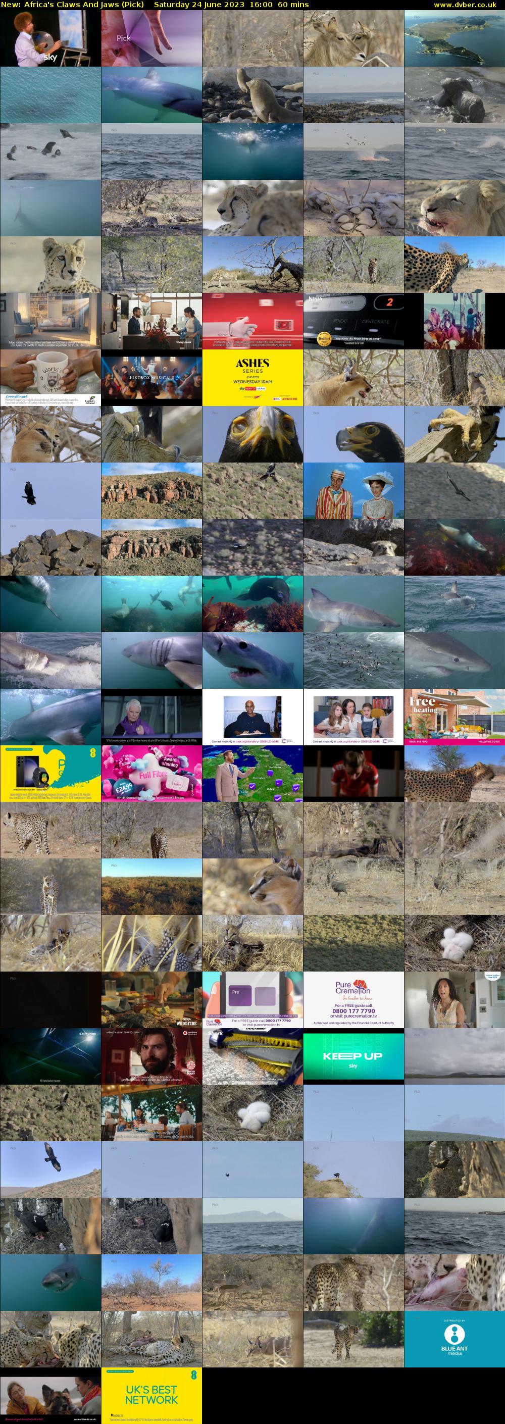 Africa's Claws And Jaws (Pick) Saturday 24 June 2023 16:00 - 17:00