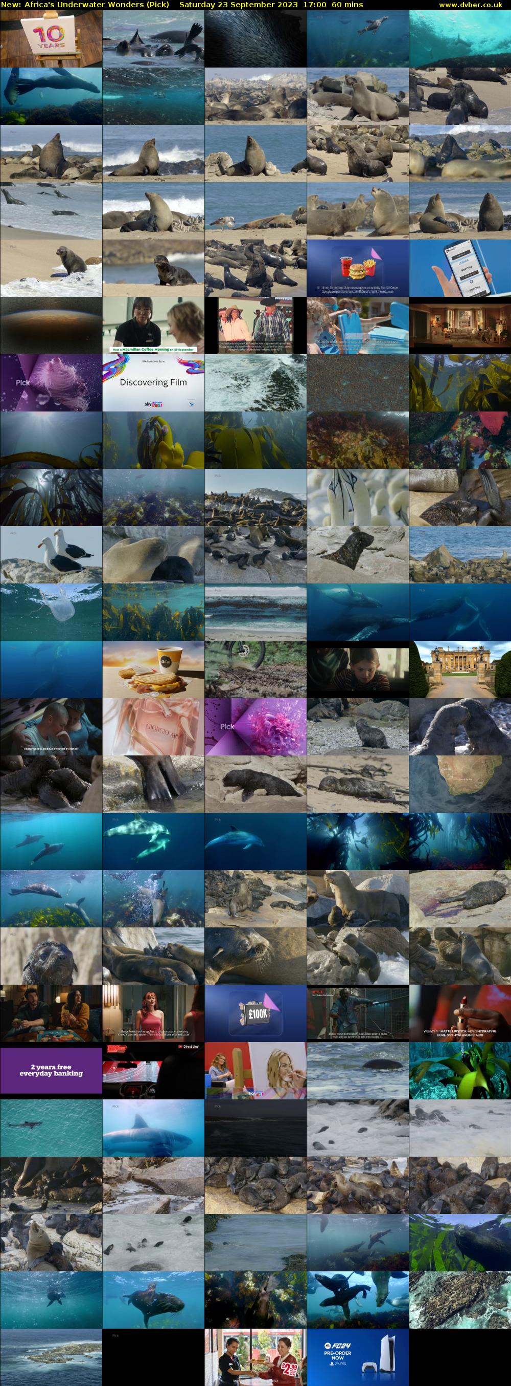 Africa's Underwater Wonders (Pick) Saturday 23 September 2023 17:00 - 18:00