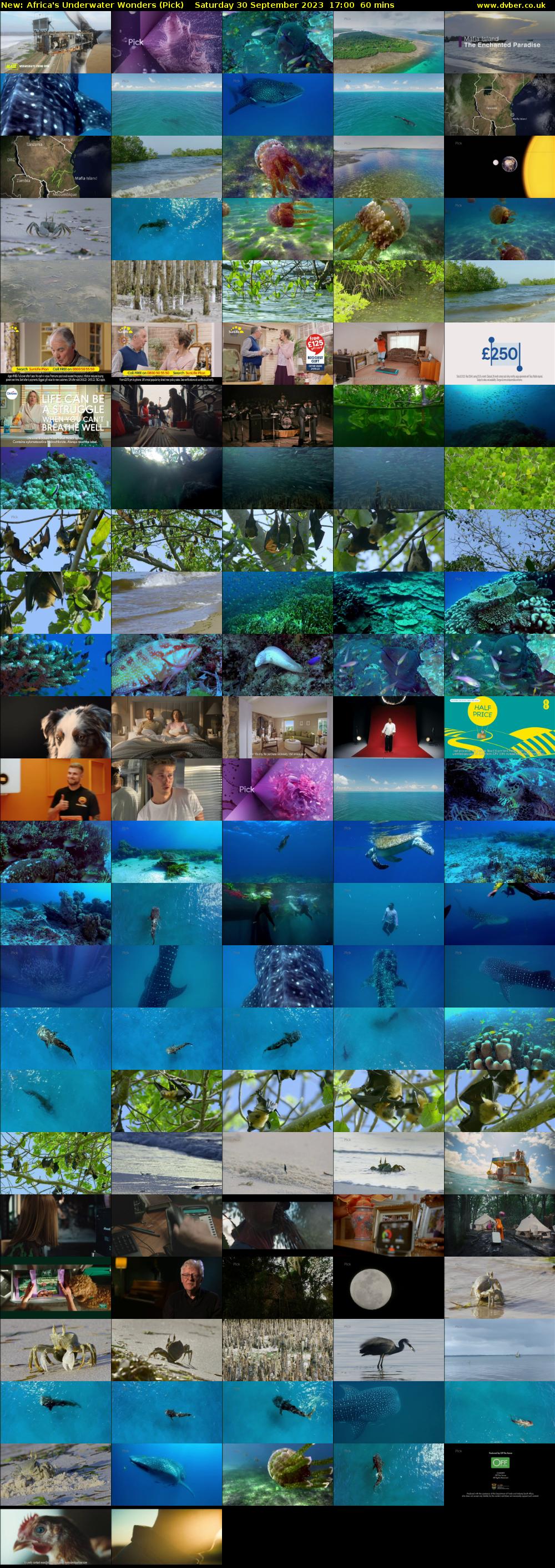 Africa's Underwater Wonders (Pick) Saturday 30 September 2023 17:00 - 18:00