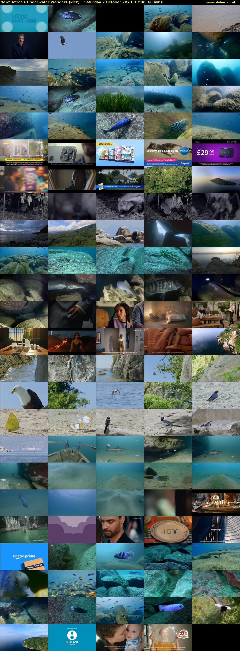 Africa's Underwater Wonders (Pick) Saturday 7 October 2023 17:00 - 18:00