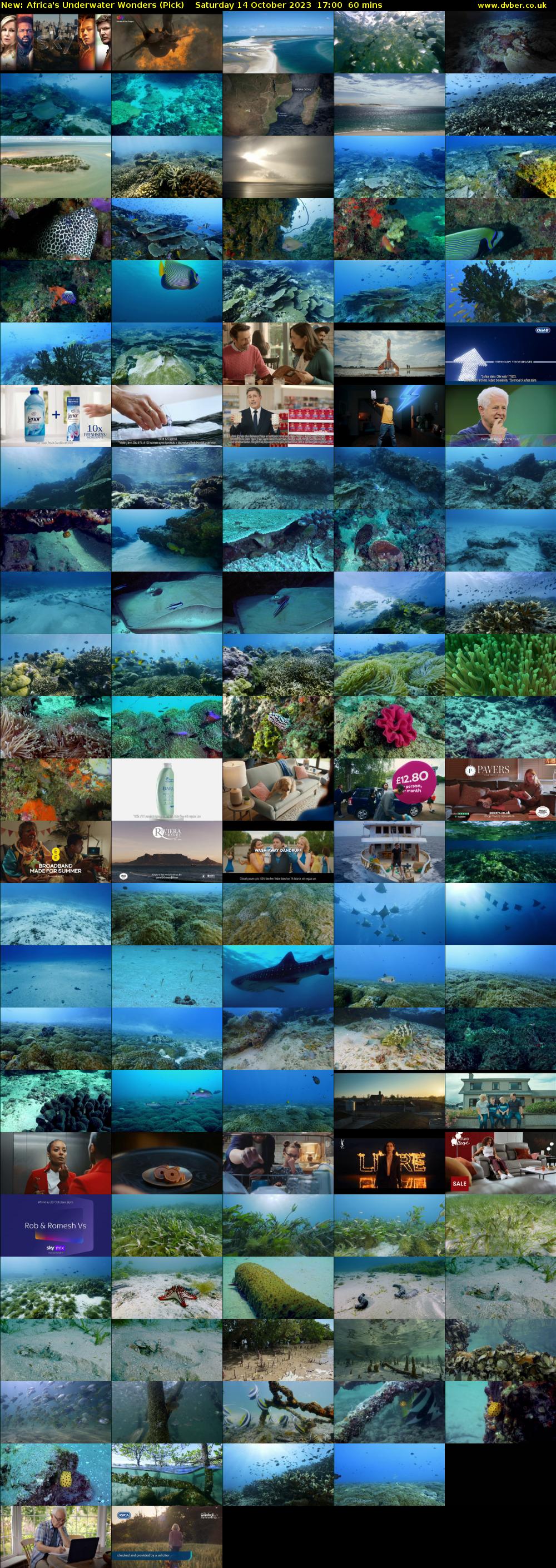 Africa's Underwater Wonders (Pick) Saturday 14 October 2023 17:00 - 18:00