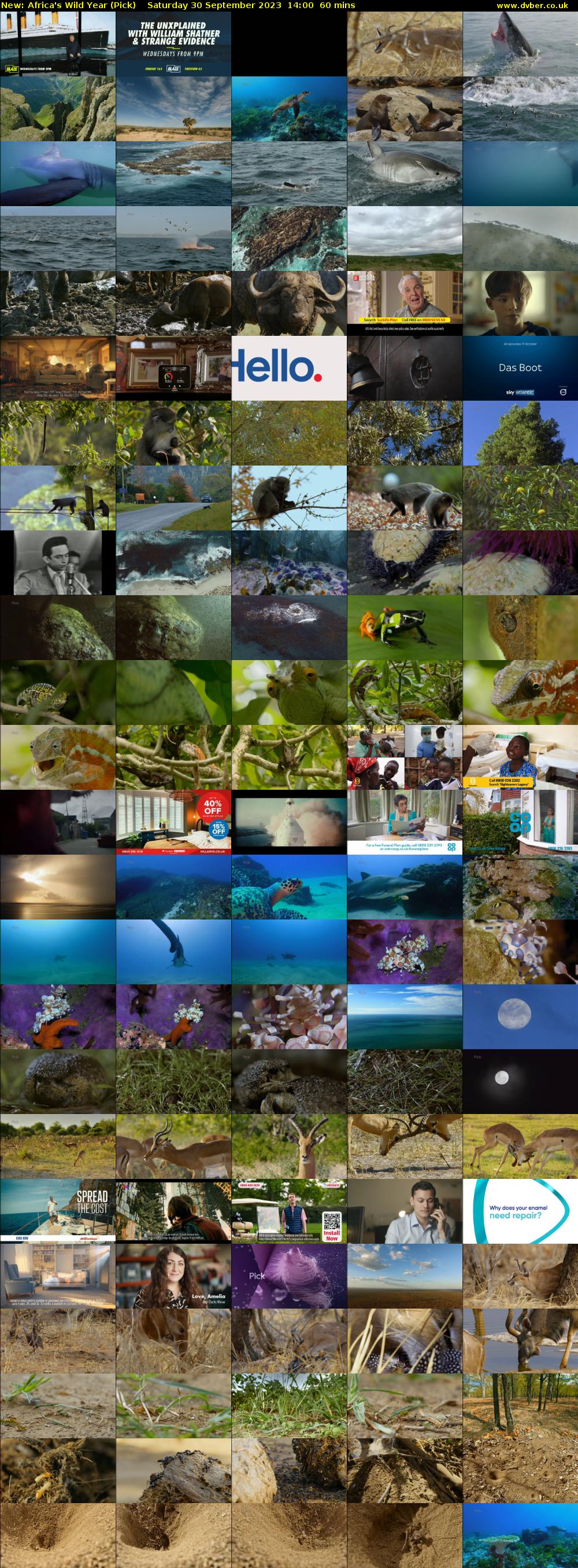Africa's Wild Year (Pick) Saturday 30 September 2023 14:00 - 15:00