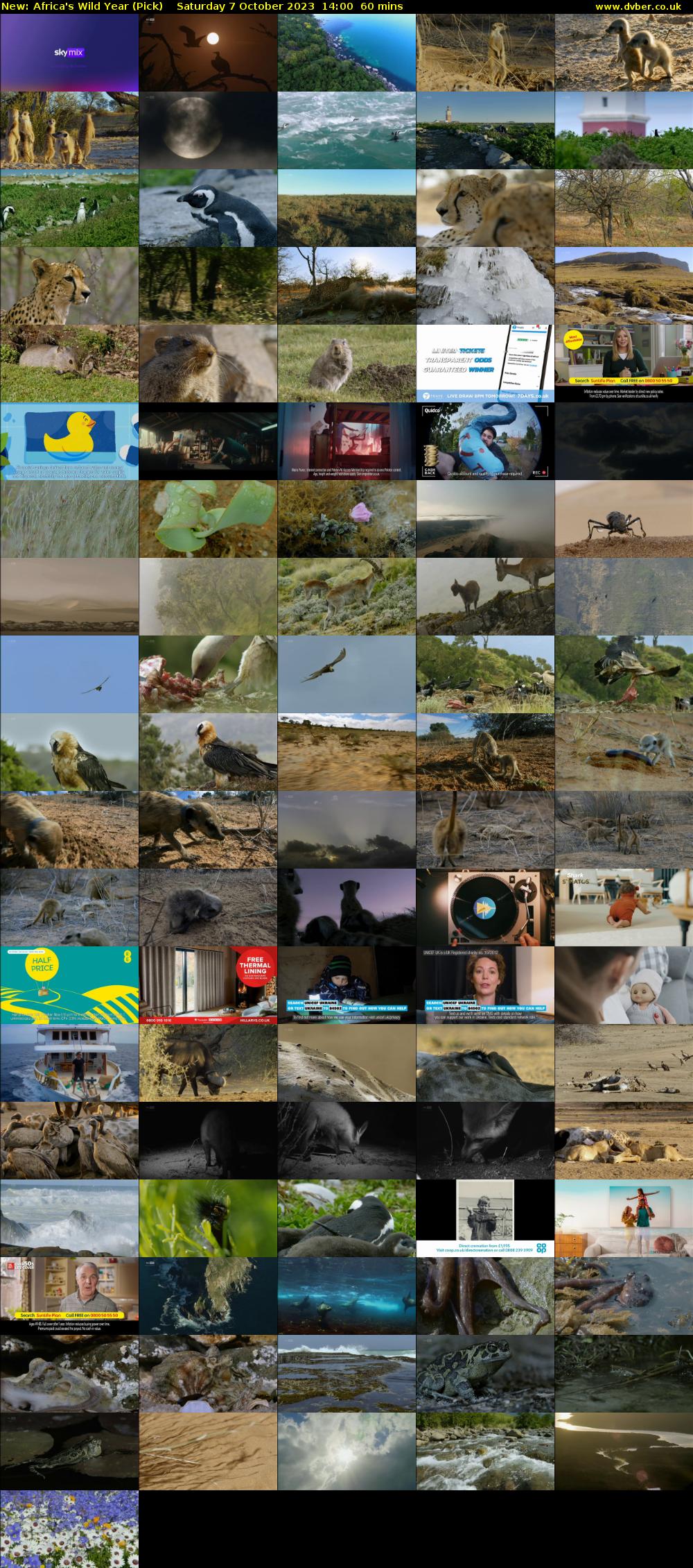 Africa's Wild Year (Pick) Saturday 7 October 2023 14:00 - 15:00