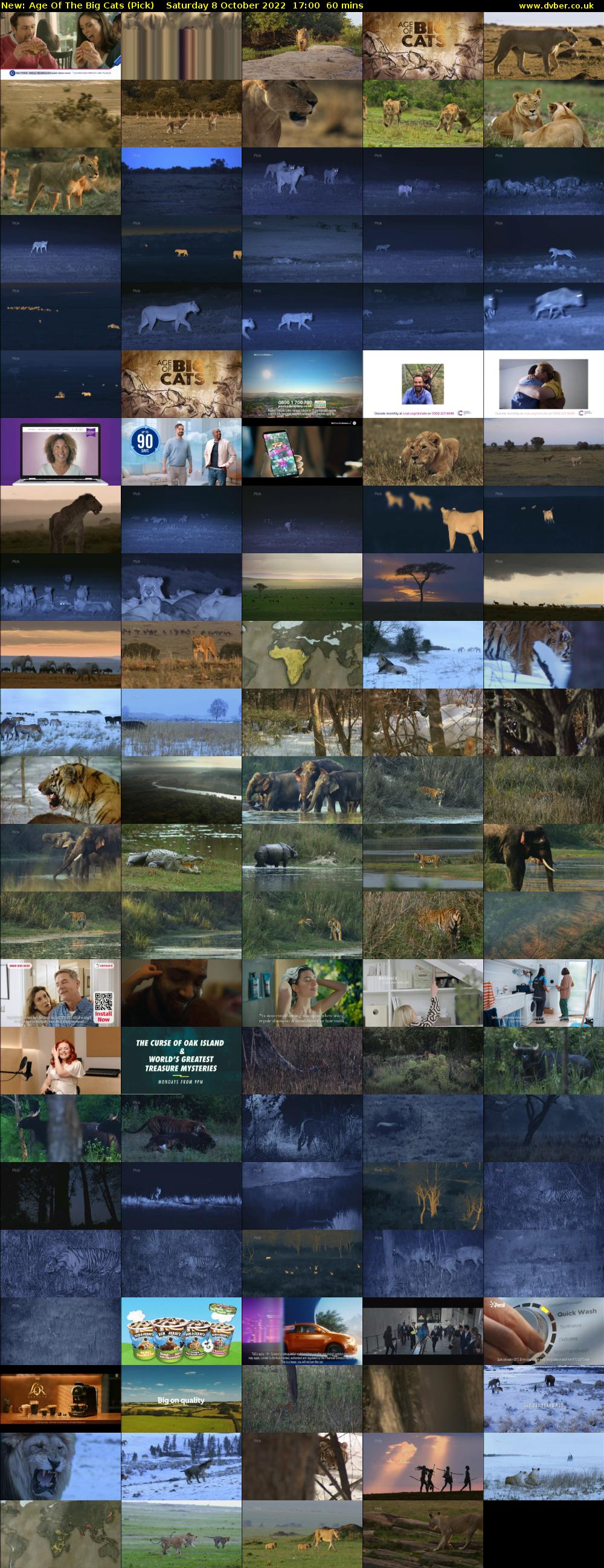 Age Of The Big Cats (Pick) Saturday 8 October 2022 17:00 - 18:00