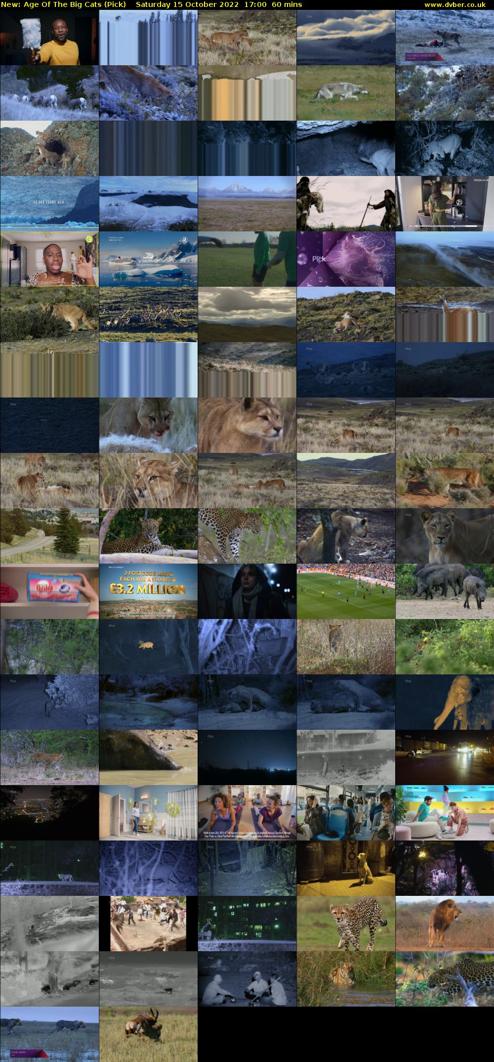 Age Of The Big Cats (Pick) Saturday 15 October 2022 17:00 - 18:00
