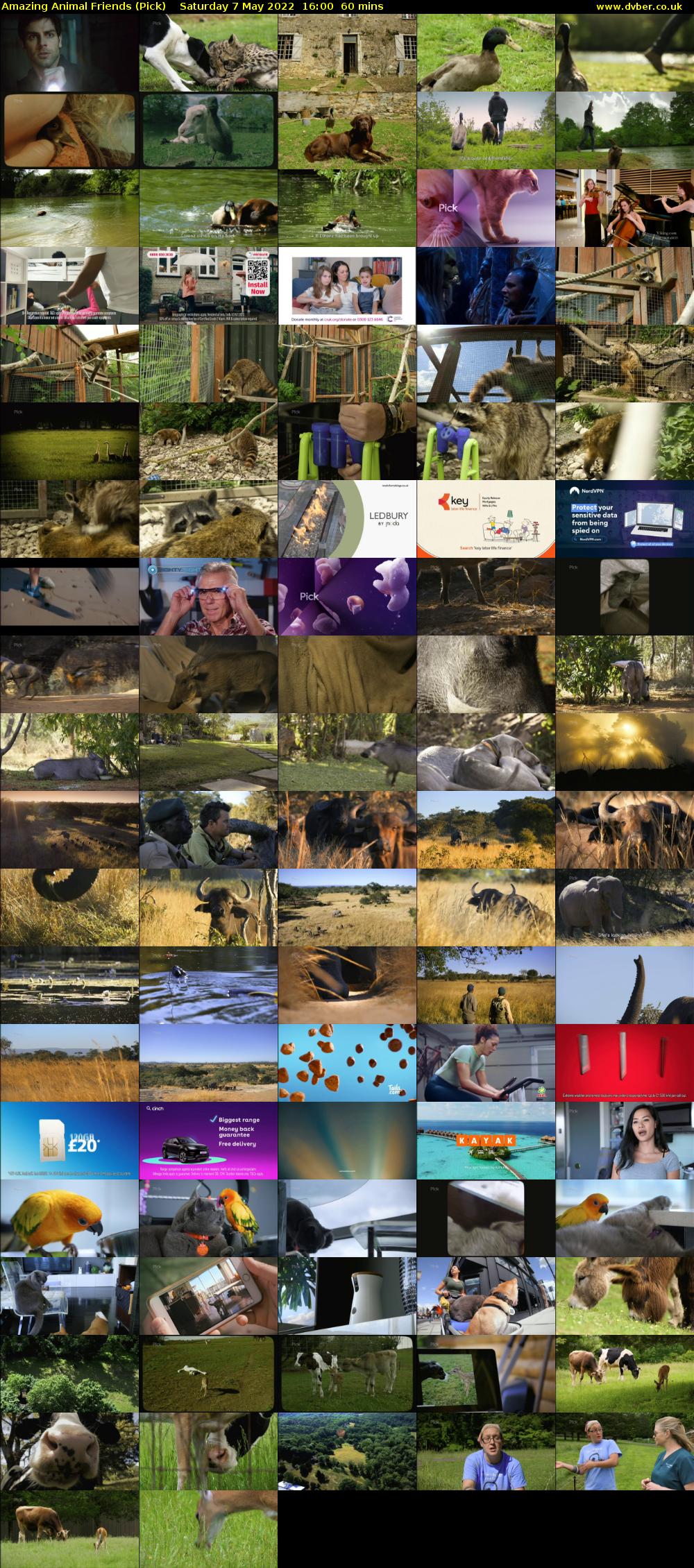 Amazing Animal Friends (Pick) Saturday 7 May 2022 16:00 - 17:00