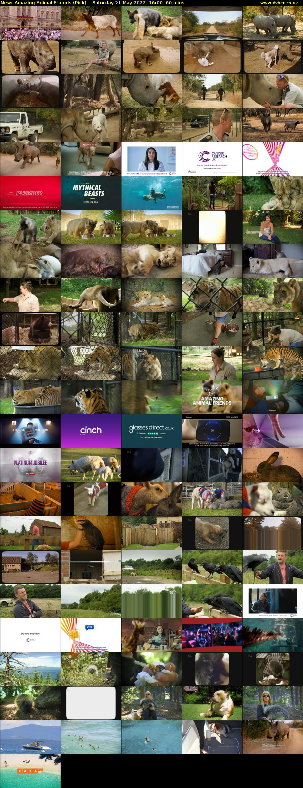 Amazing Animal Friends (Pick) Saturday 21 May 2022 16:00 - 17:00