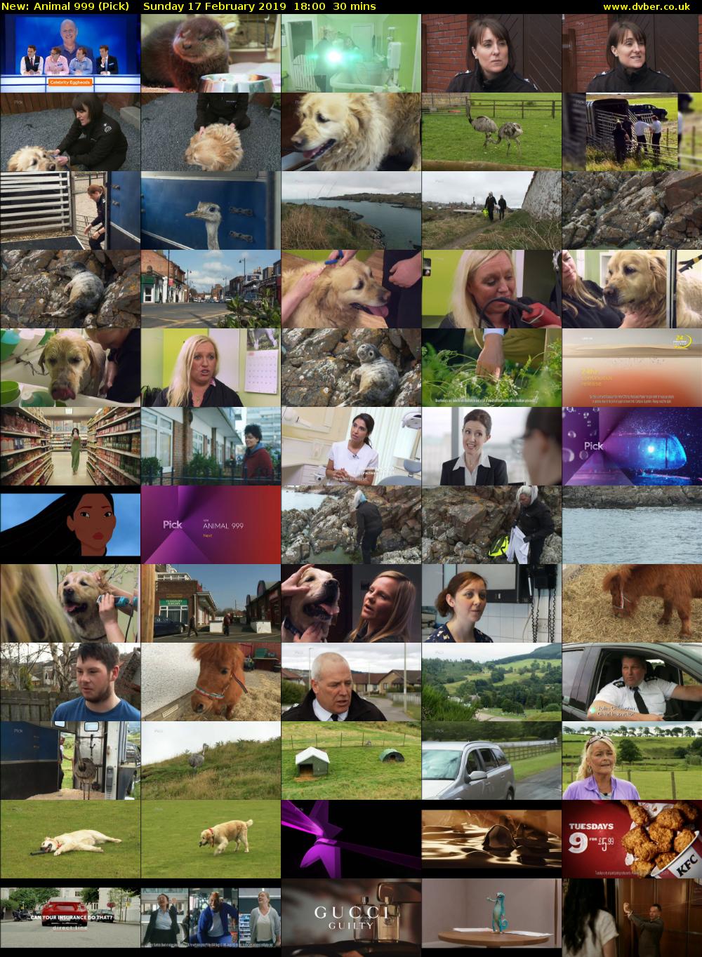 Animal 999 (Pick) Sunday 17 February 2019 18:00 - 18:30