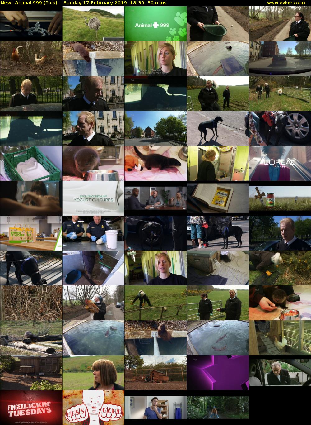 Animal 999 (Pick) Sunday 17 February 2019 18:30 - 19:00