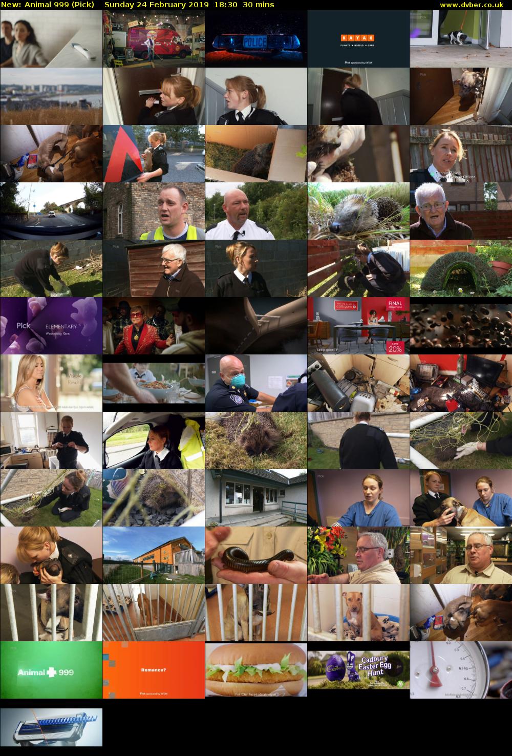 Animal 999 (Pick) Sunday 24 February 2019 18:30 - 19:00