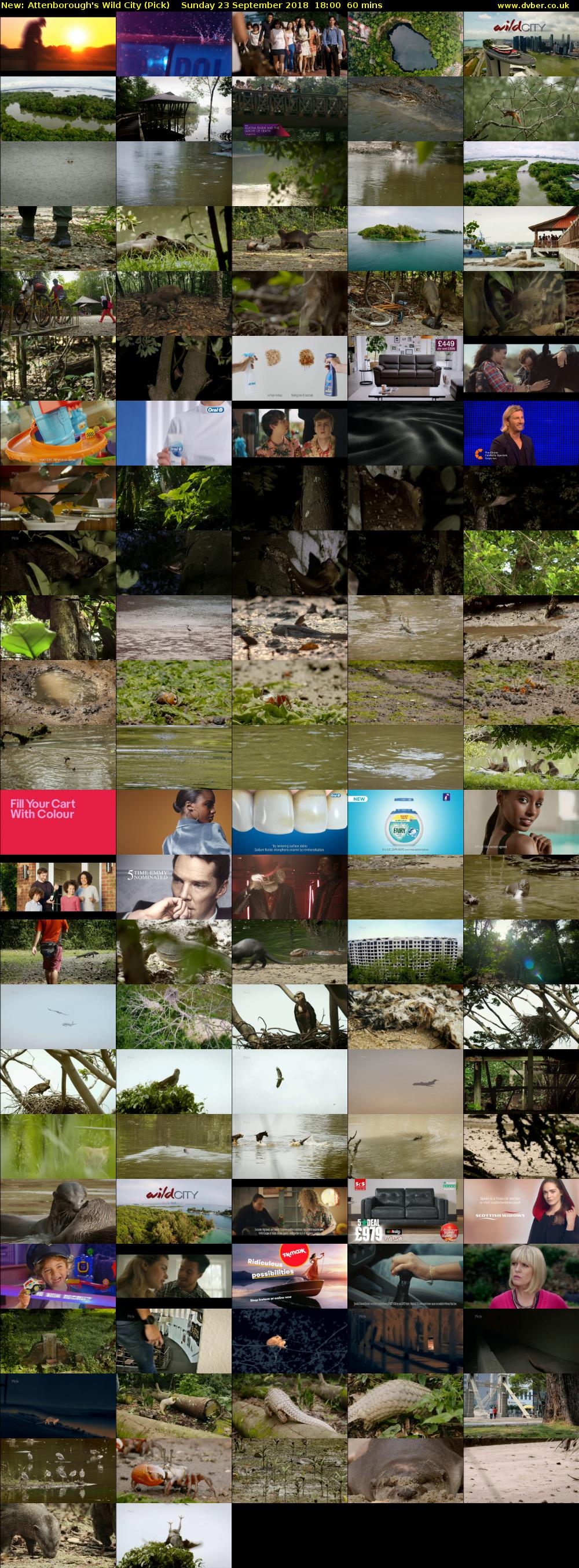 Attenborough's Wild City (Pick) Sunday 23 September 2018 18:00 - 19:00