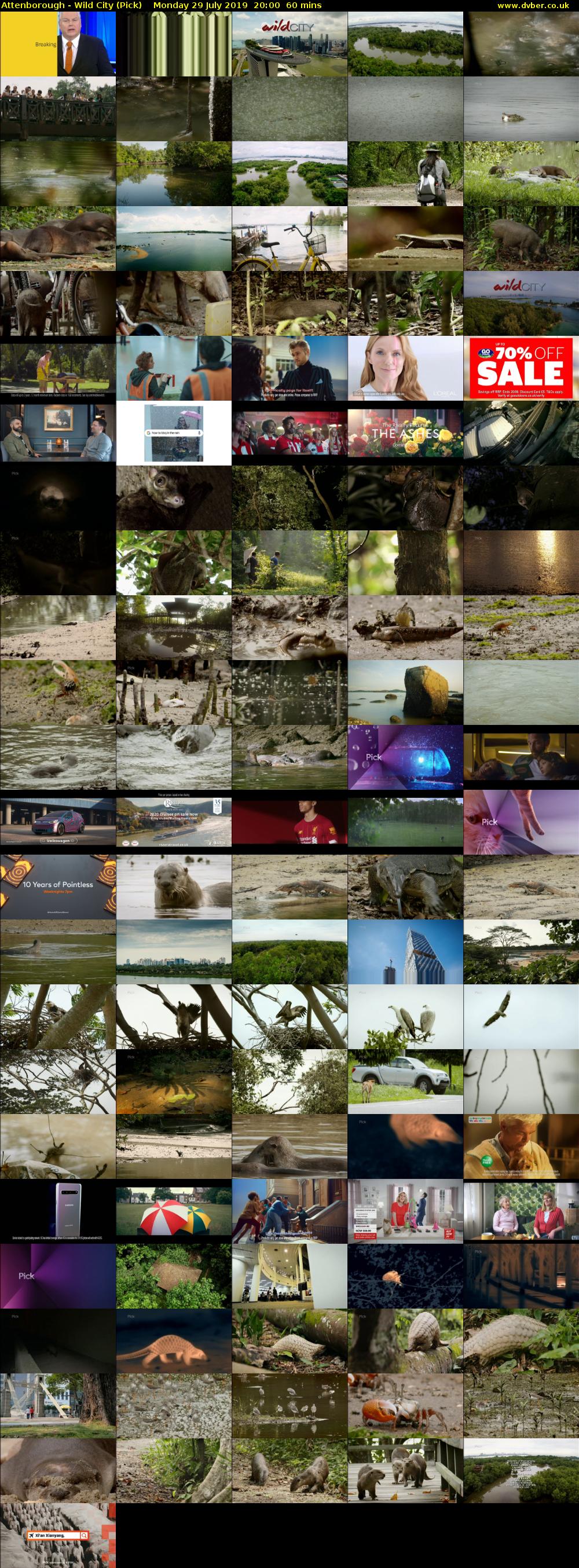 Attenborough - Wild City (Pick) Monday 29 July 2019 20:00 - 21:00