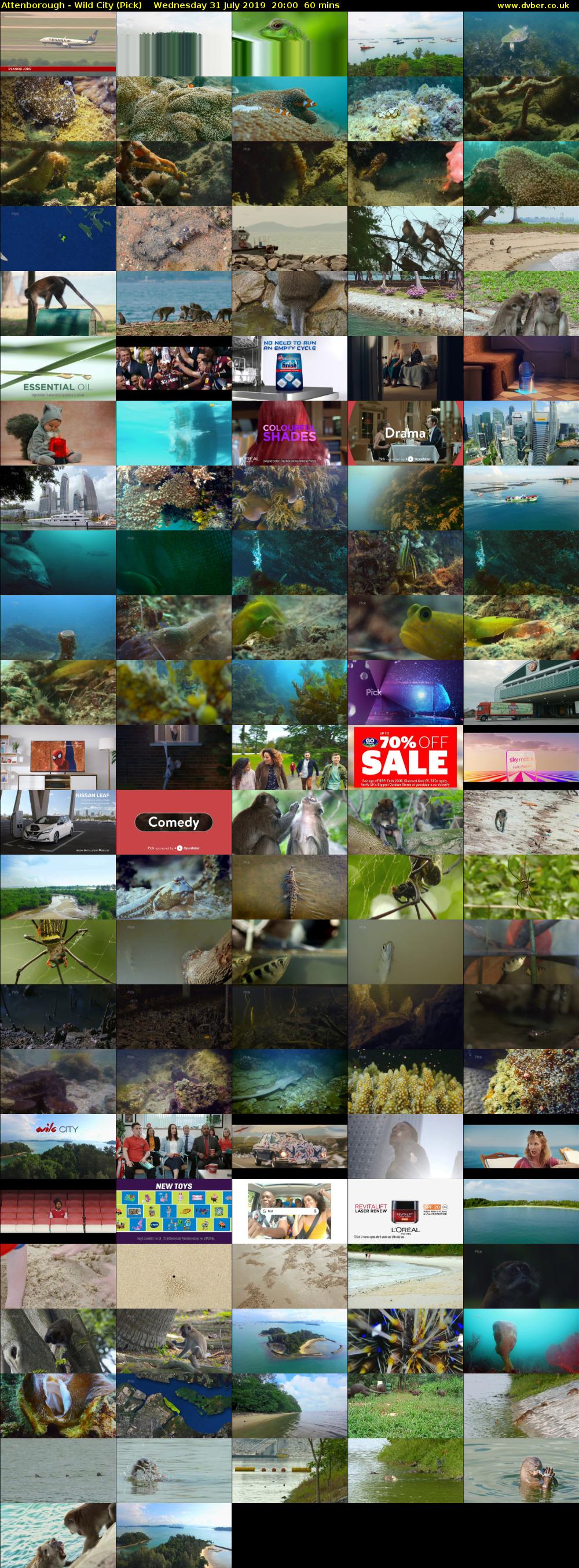 Attenborough - Wild City (Pick) Wednesday 31 July 2019 20:00 - 21:00