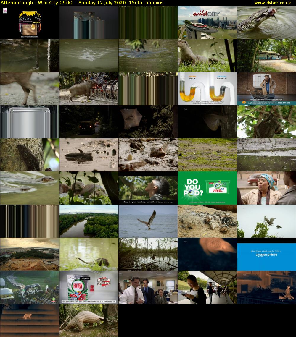 Attenborough - Wild City (Pick) Sunday 12 July 2020 15:45 - 16:40