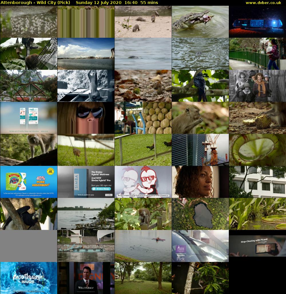 Attenborough - Wild City (Pick) Sunday 12 July 2020 16:40 - 17:35