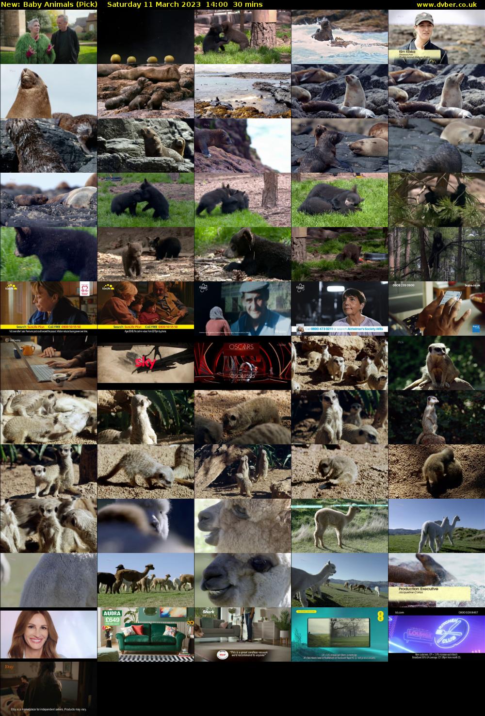Baby Animals (Pick) Saturday 11 March 2023 14:00 - 14:30