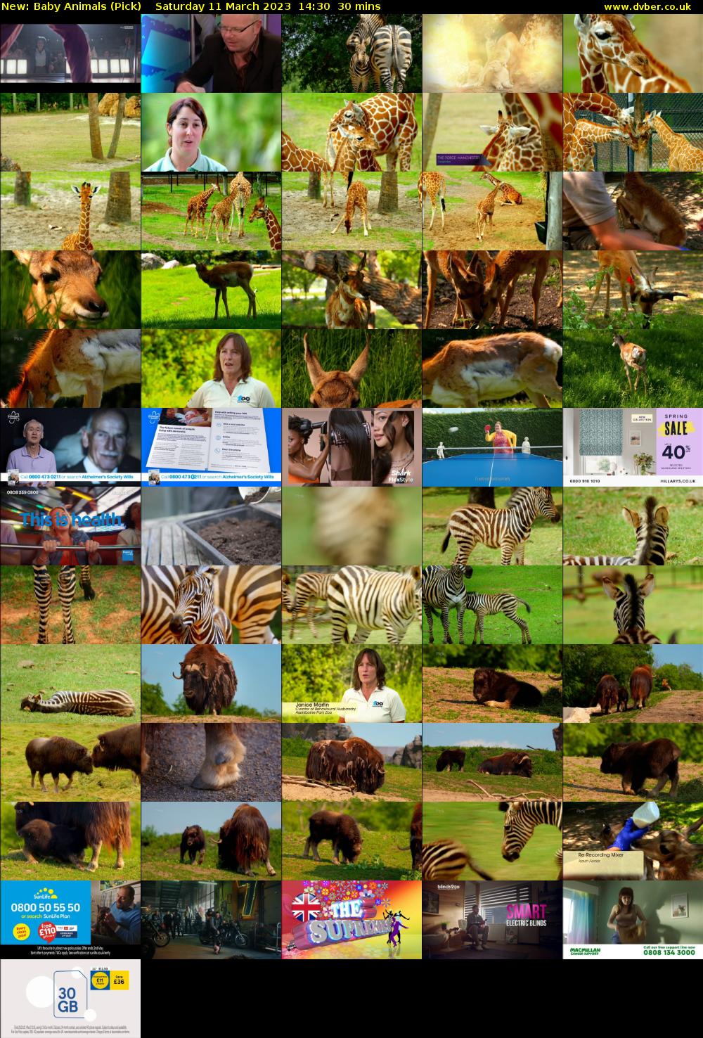 Baby Animals (Pick) Saturday 11 March 2023 14:30 - 15:00