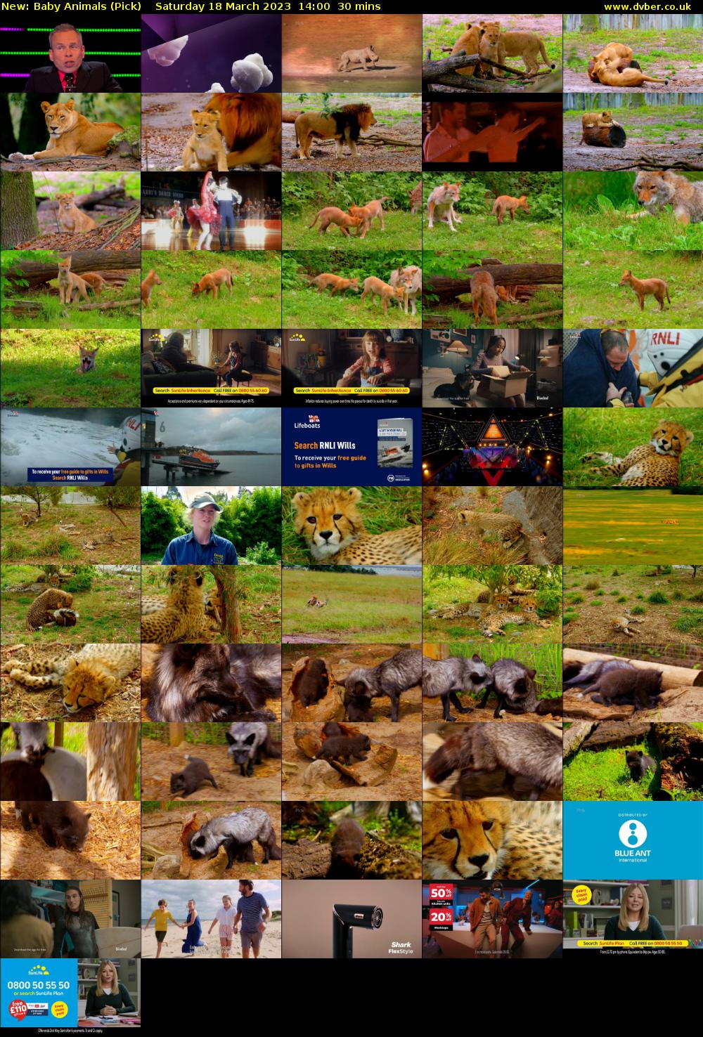 Baby Animals (Pick) Saturday 18 March 2023 14:00 - 14:30